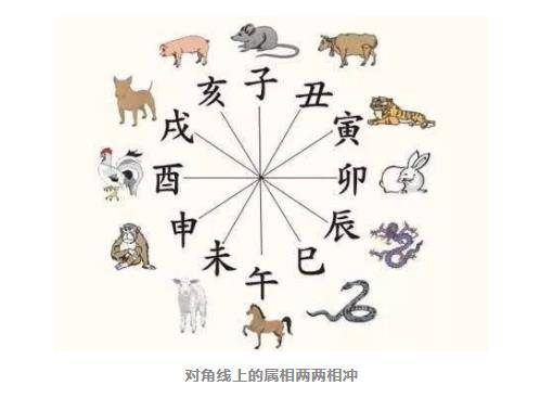 羊入虎口、鸡犬不宁……一家人生肖相爱相杀怎么办？-运势网|周易八卦|生辰八字算命网|姻缘事业财运卜卦|