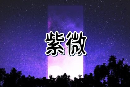 紫薇贪狼对宫夫妻宫 会有多婚之象-运势网|周易八卦|生辰八字算命网|姻缘事业财运卜卦|