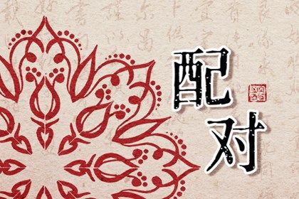 2023年鸡和猪结婚适合吗  并不相生多留意-运势网|周易八卦|生辰八字算命网|姻缘事业财运卜卦|