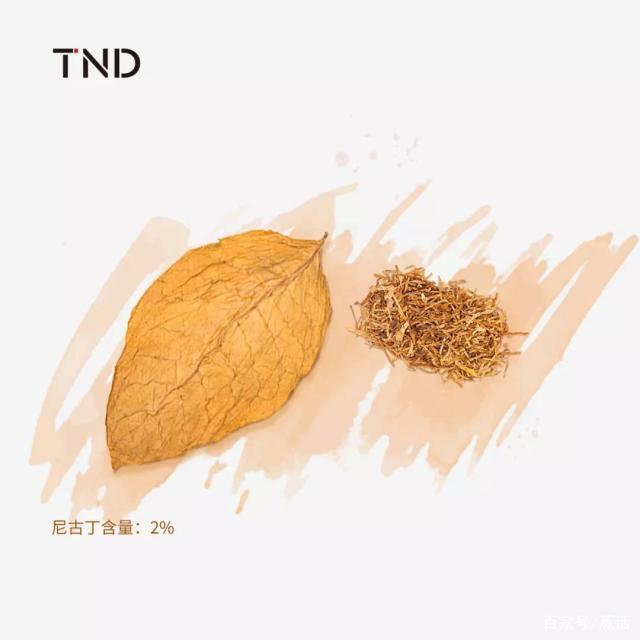 「TND新品」首创智能触控锁，解锁你的优雅灵魂