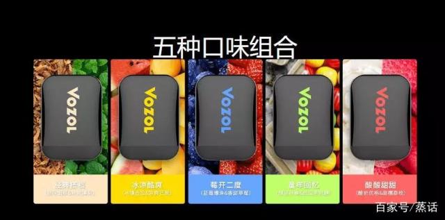 VOZOL微纵D2一次性电子烟，一机双吸嘴双口味