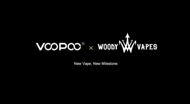 VOOPOO电子烟拆资200万 收购新域名voopoo.com