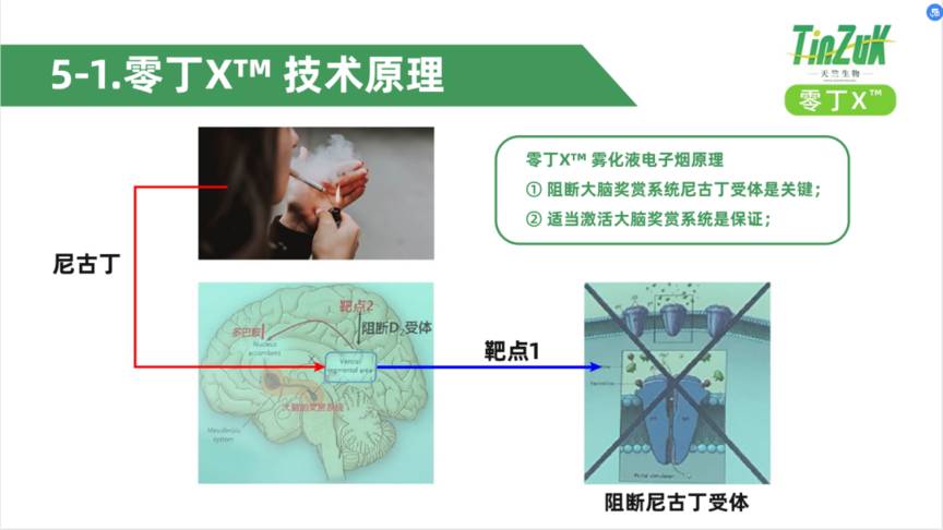 对话天竺生物：零丁X™会是合格的尼古丁替代品吗